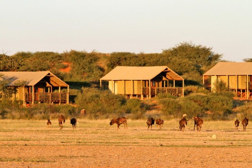 Intu Afrika Suricate Kalahari Lodge 005